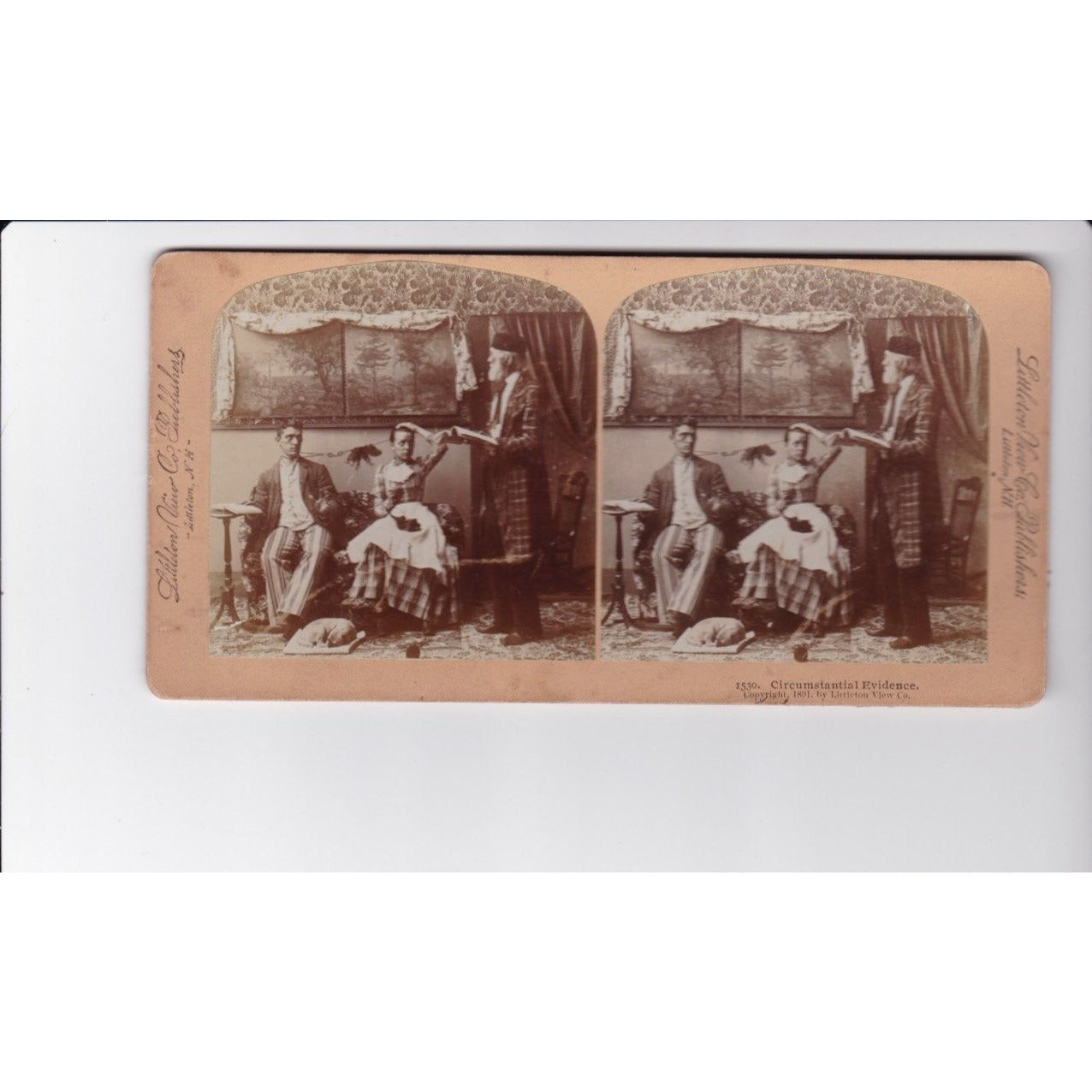 Circumstantial Evidence Stereoview Littleton View Co 1891 New York