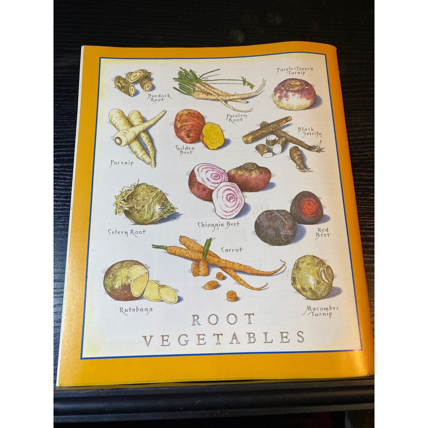 Cooks Illustrated Magazine June 2004 Juicy Pork Chops Root Vegetables & More