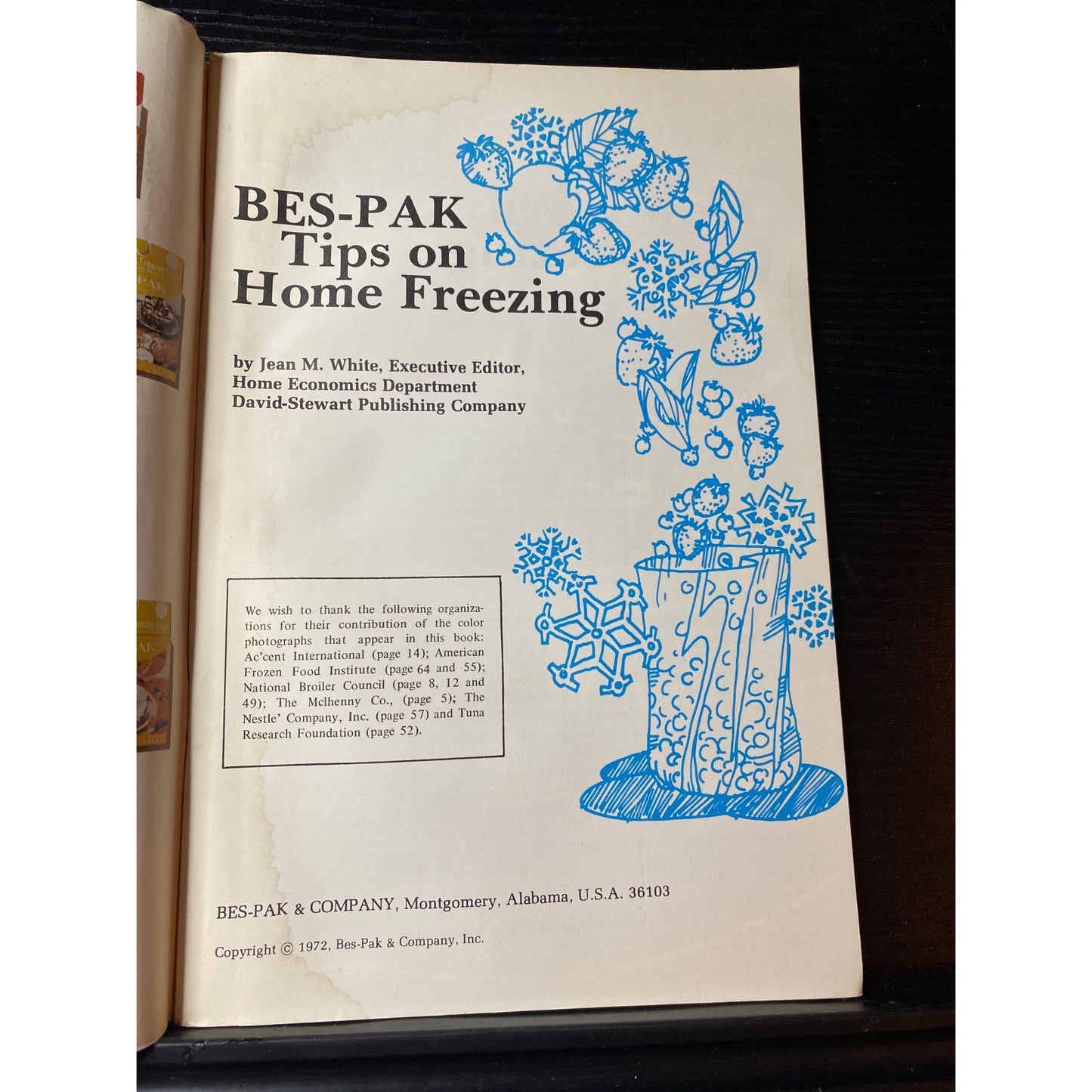 BES-PAK Tips On Home Freezing 1972 Cookbook Booklet Guide To Food Preservation