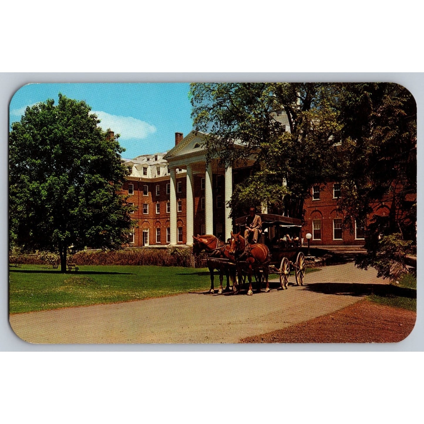 Cooperstown NY New York Otesaga Hotel Horse Drawn Wagon Chrome Postcard