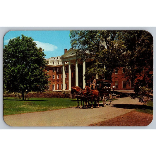 Cooperstown NY New York Otesaga Hotel Horse Drawn Wagon Chrome Postcard