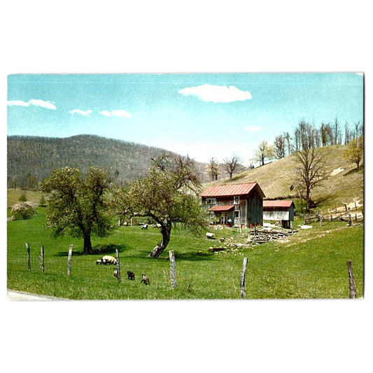 Appalachian Region VA WV Springtime Farm Scene Chrome Postcard C H Ruth
