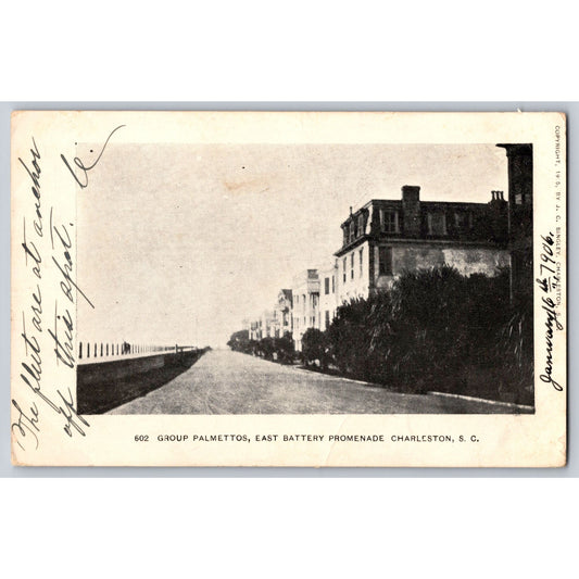 Charleston SC South Carolina East Battery Promenade Undivided Back 1906 Group Palmettos