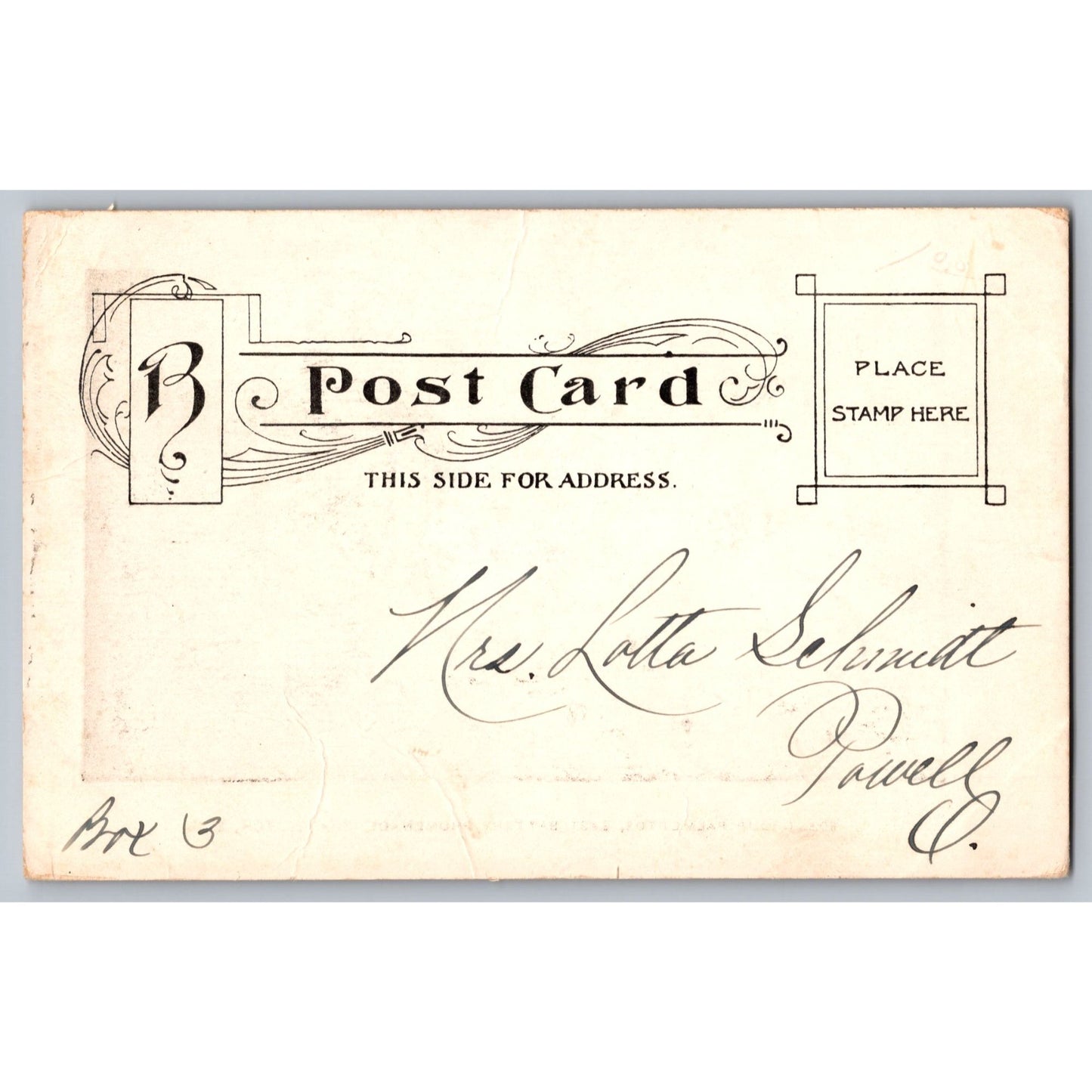 Charleston SC South Carolina East Battery Promenade Undivided Back 1906 Group Palmettos