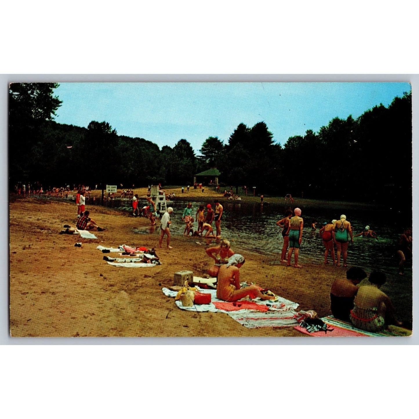 Sigel PA Pennsylvania Clear Creek State Park Beach Chrome Postcard Unused