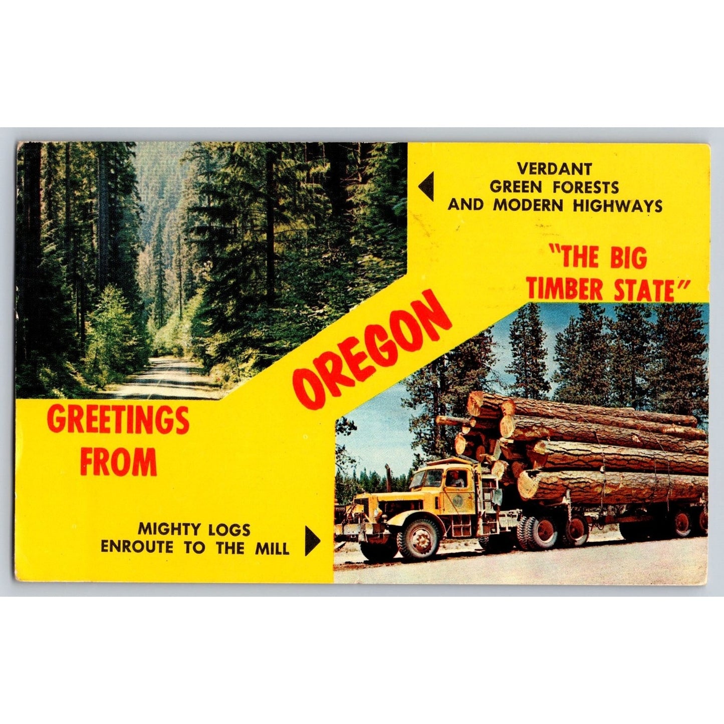 Oregon OR Postcard Mighty Logs & Verdant Green Forests Scenic View Used