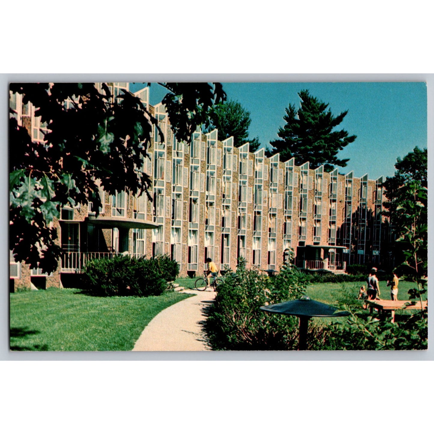 Poughkeepsie NY New York Vassar College Noyes House Dormitory 1958 Postcard