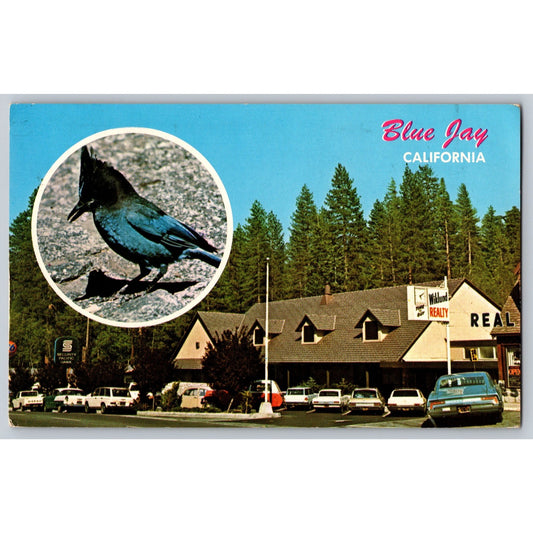 Blue Jay CA California New Bank Building & Bird Chrome Postcard Used