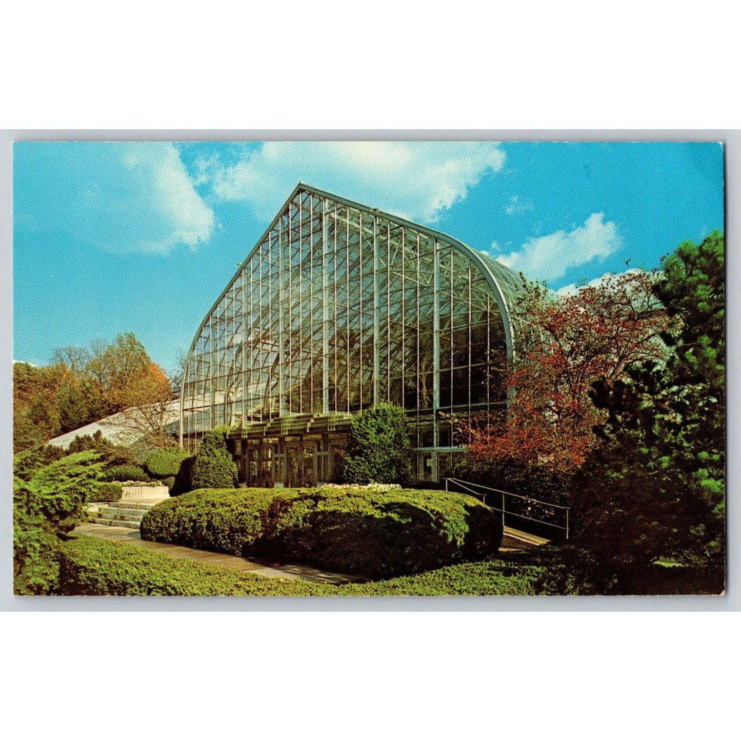 Cincinnati OH Ohio Eden Park Conservatory Glasshouse 1964 Chrome Postcard