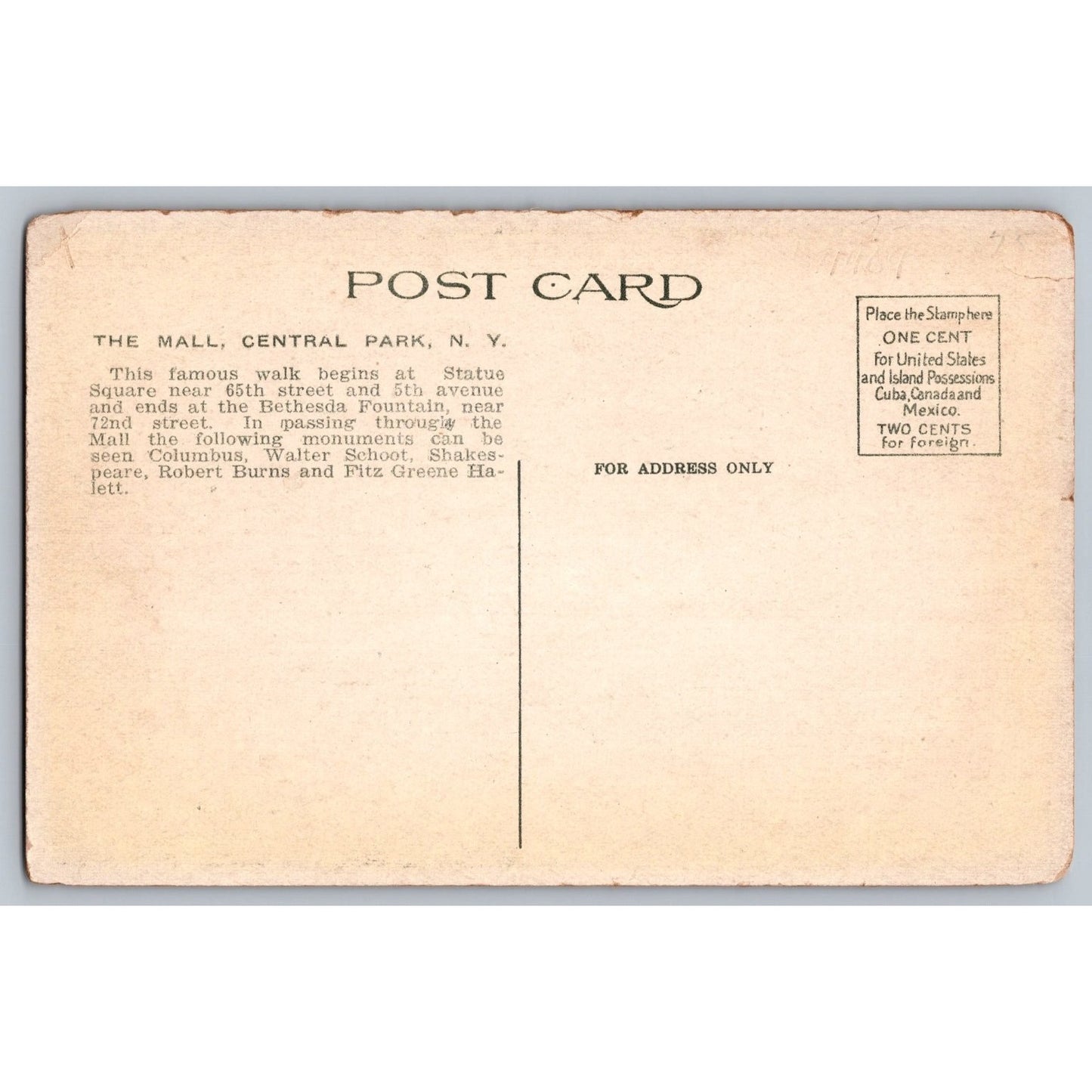 New York City NY The Mall Central Park Early 1900s Divided Back Postcard