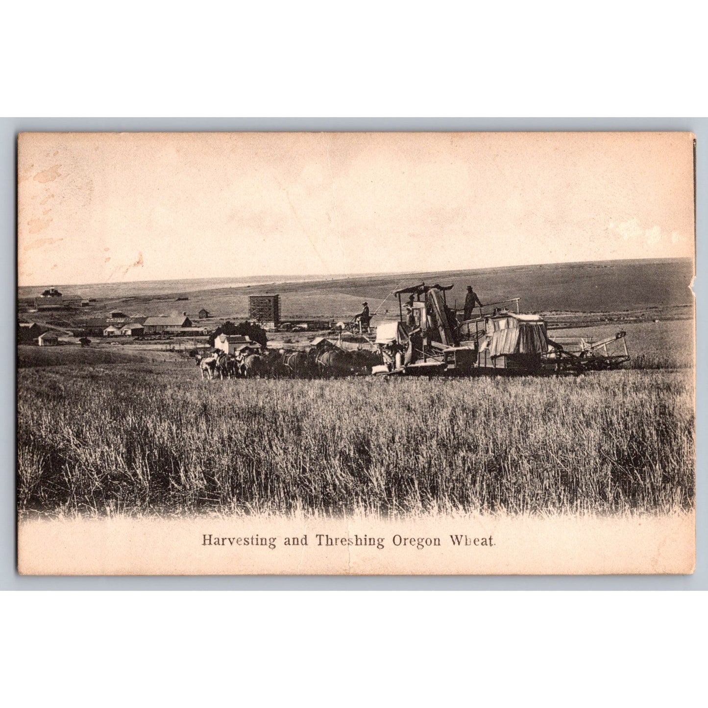 OR Oregon Harvesting & Threshing Wheat Undivided Back Postcard Unused