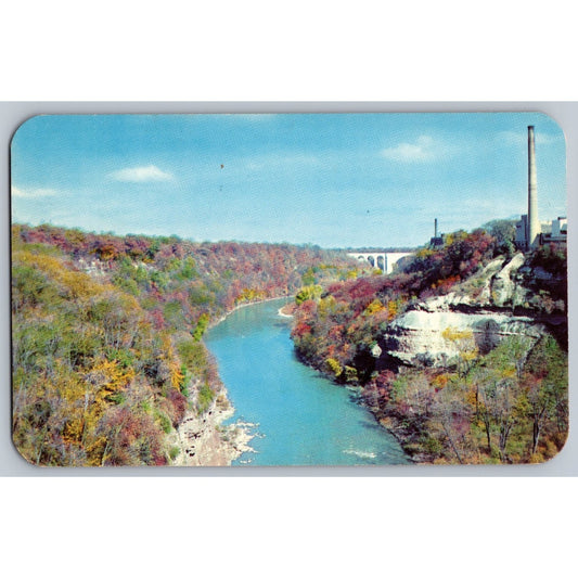 Rochester NY New York Genesee River Gorge Autumn Scene Chrome Postcard