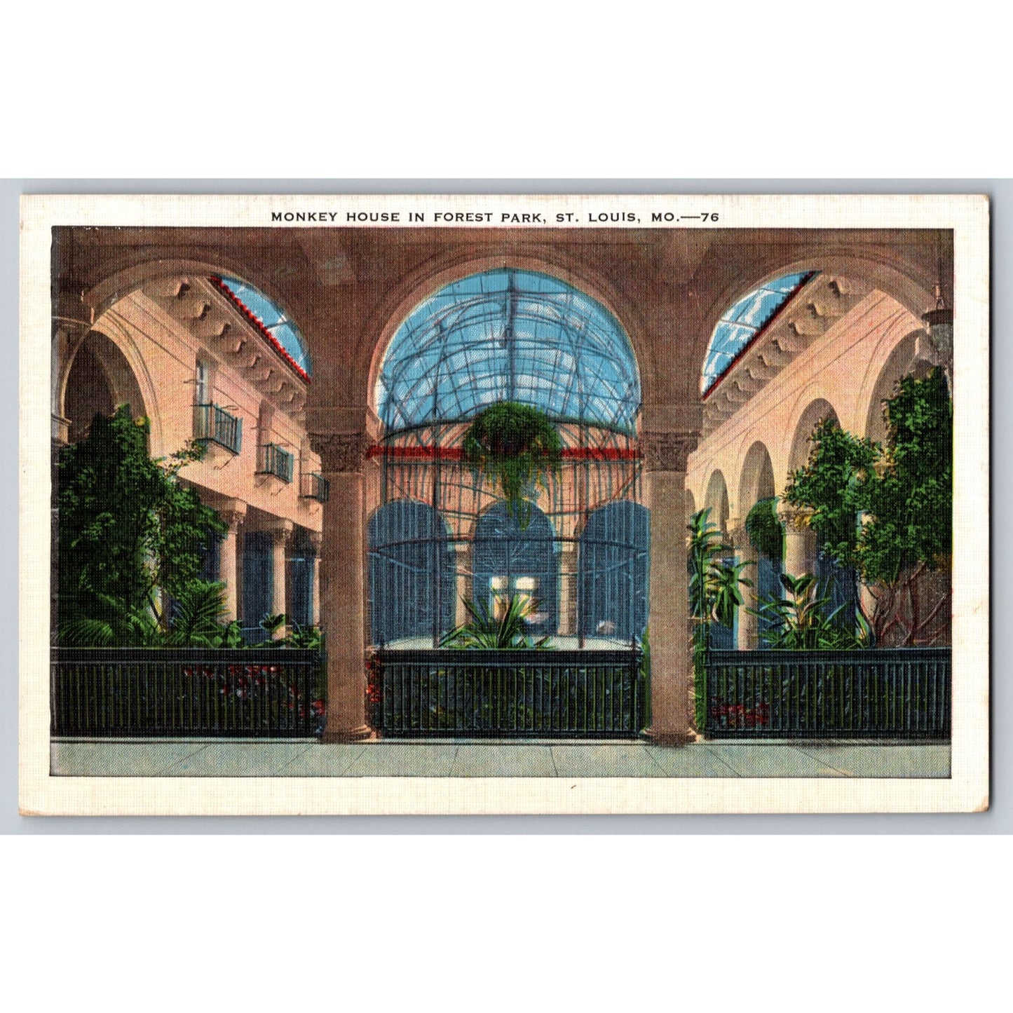 St Louis MO Missouri Forest Park Monkey House White Border Chrome E.C. Kropp Co