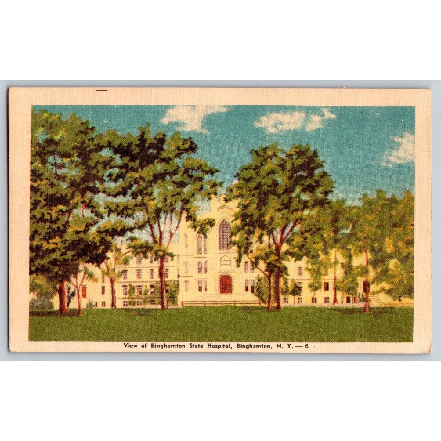 New York City NY Binghamton State Hospital White Border Postcard Piersons