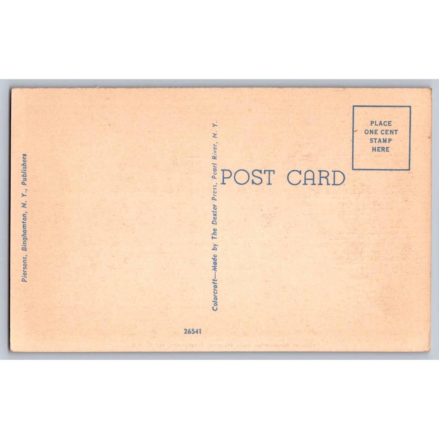 New York City NY Binghamton State Hospital White Border Postcard Piersons