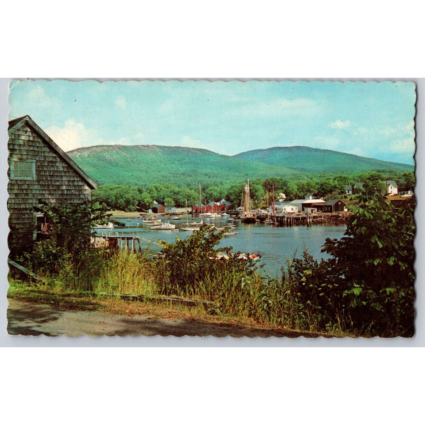 Camden ME Maine Boats At Anchor Mt Battie & Megunticook Chrome Postcard Unused