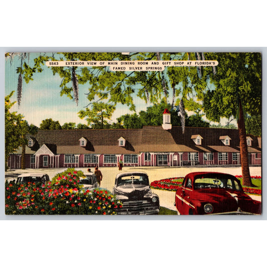 Silver Springs FL Florida Exterior Dining Room & Gift Shop Linen Postcard Unused