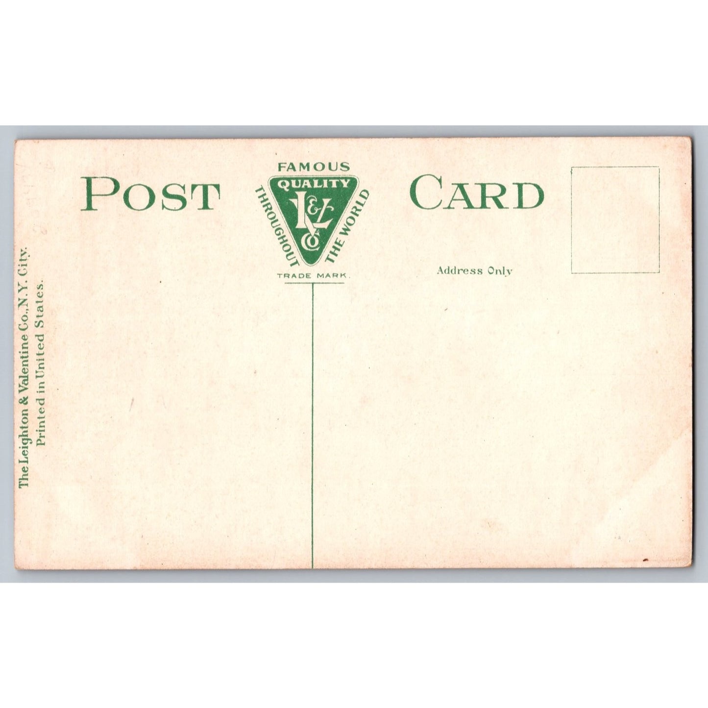 New York City NY Plaza Hotel Divided Back Postcard Leighton & Valentine