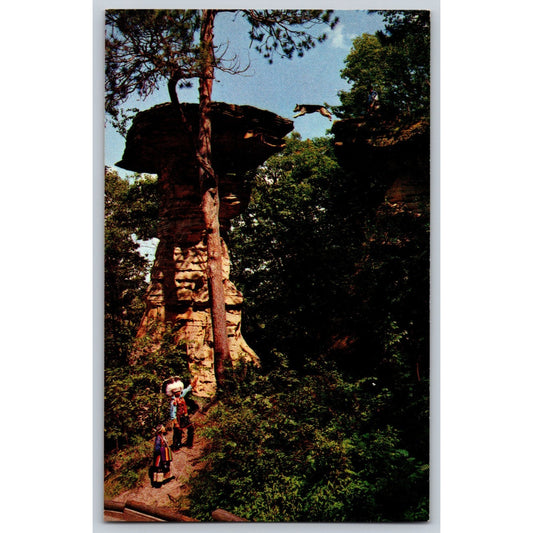 Wisconsin Dells WI Stand Rock Dog Leaps Chasm Chrome Postcard Unused