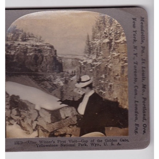 Gap of the Golden Gate Yellowstone National Park WY Stereoview Keystone View Co