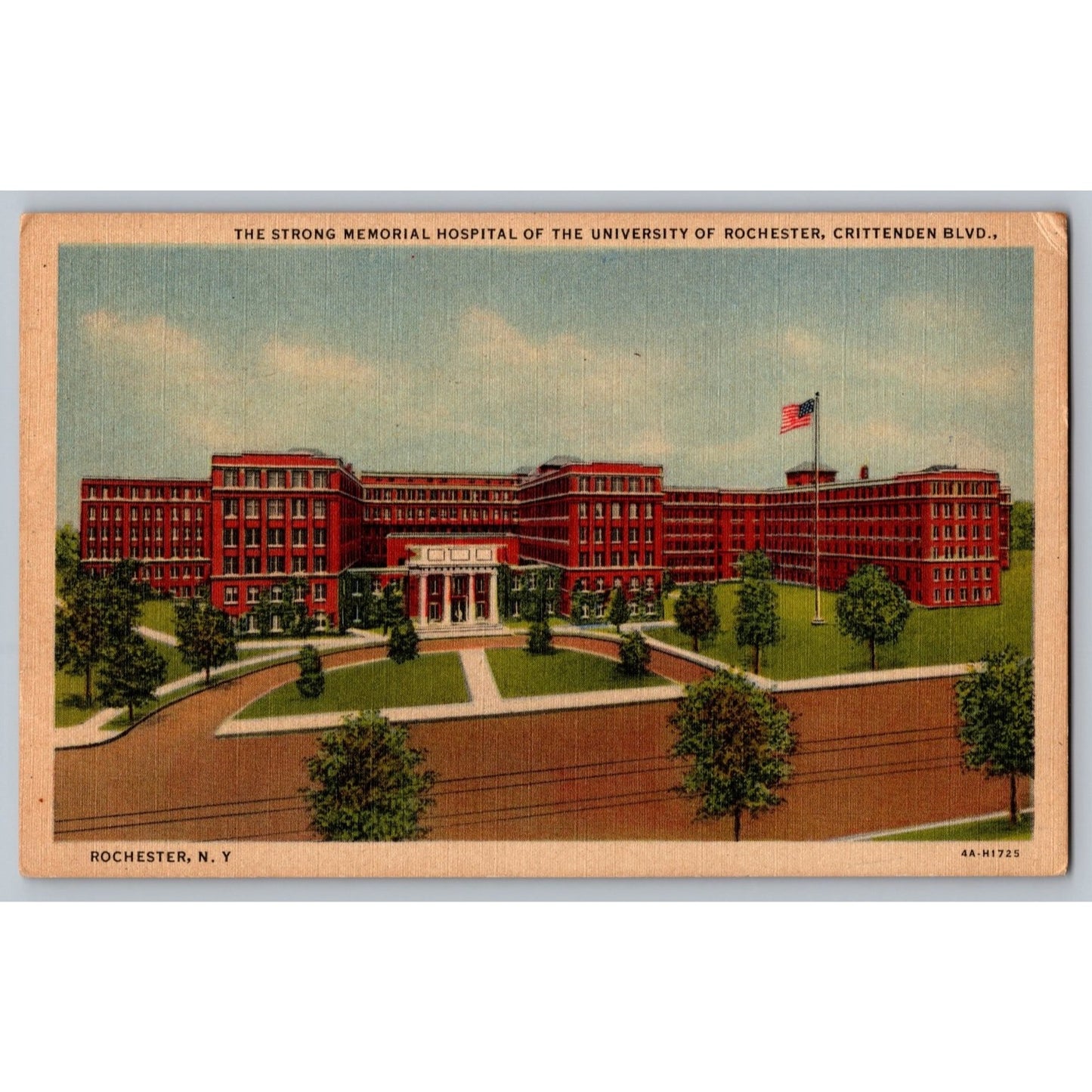 Rochester NY New York Strong Memorial Hospital University of Rochester Postcard