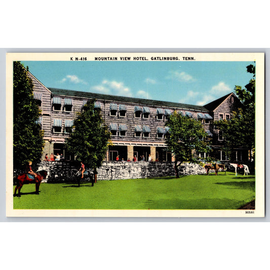 Gatlinburg TN Tennessee Mountain View Hotel White Border Postcard Unused