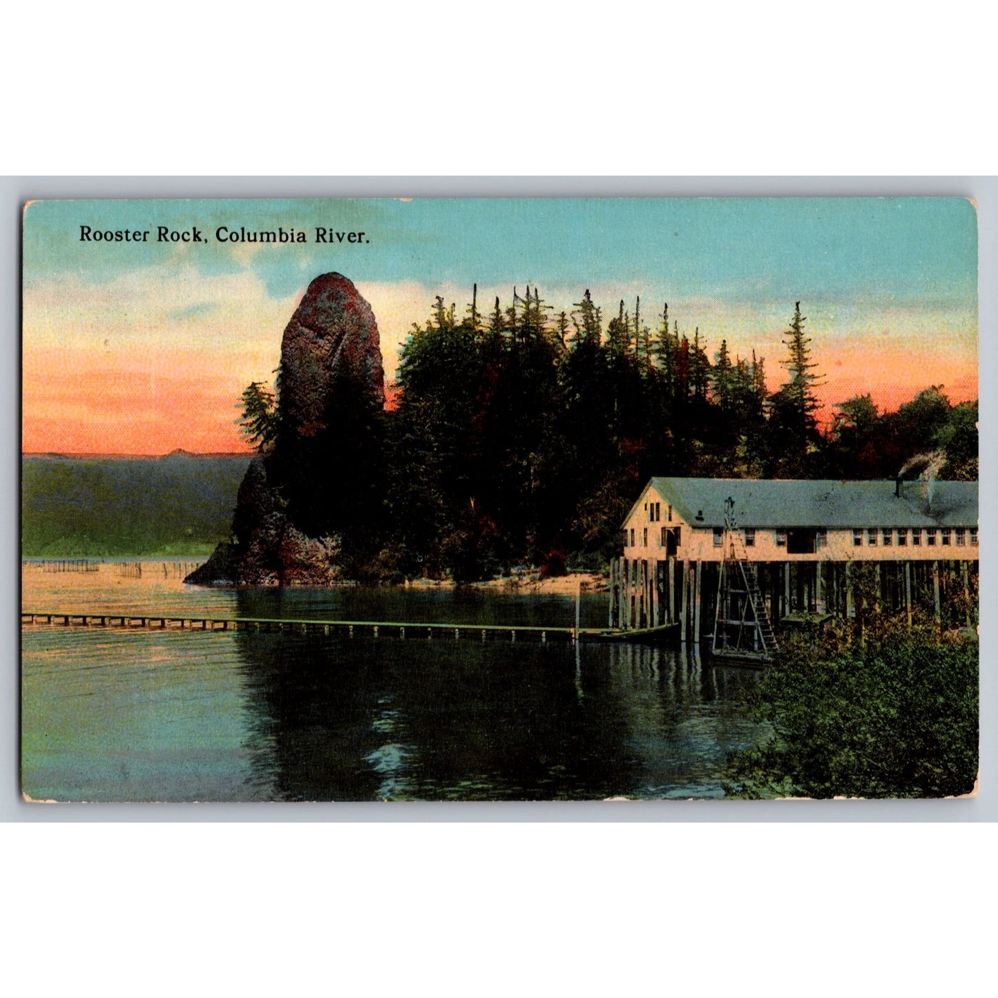 Portland OR Oregon Rooster Rock Columbia River Divided Back Postcard Unused