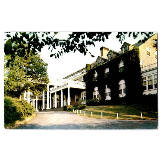 Luray VA Virginia Mimslyn Motor Inn Colonial Inn Chrome Postcard