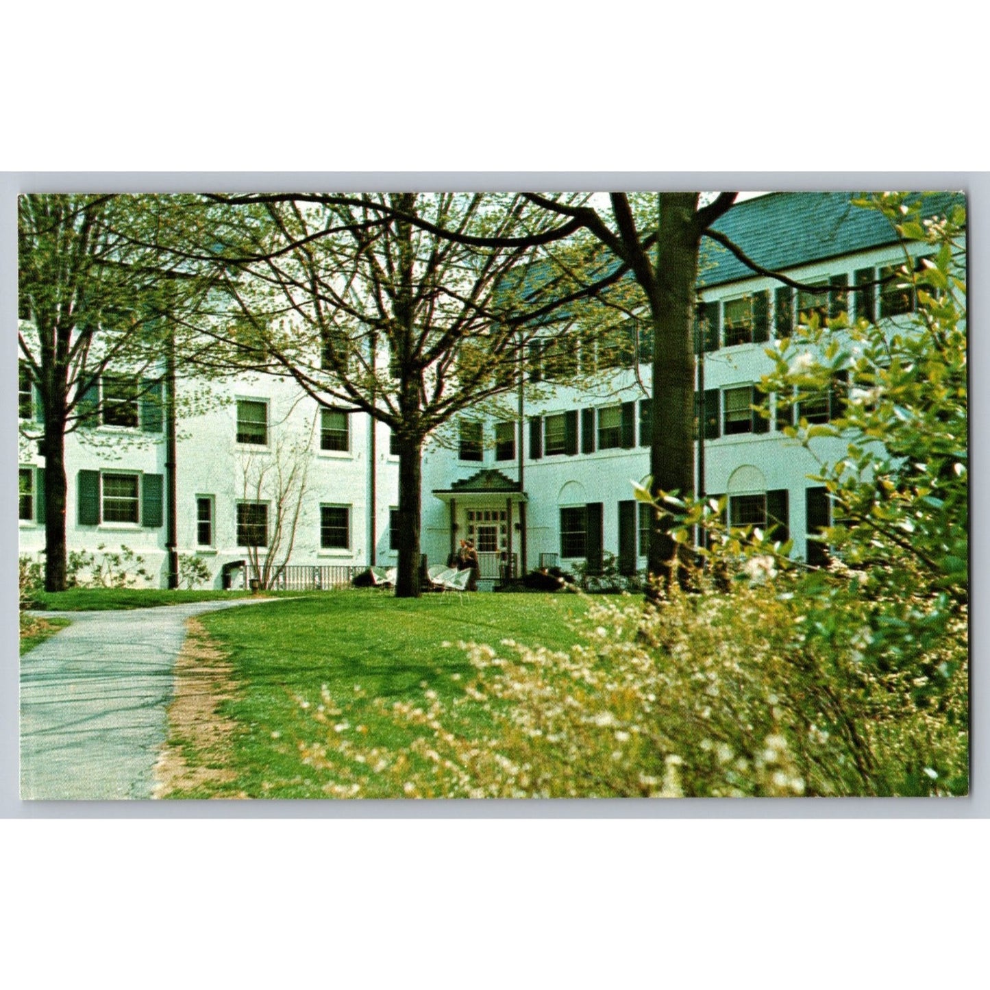Nittany Pennsylvania PA Lion Inn State University Chrome Postcard