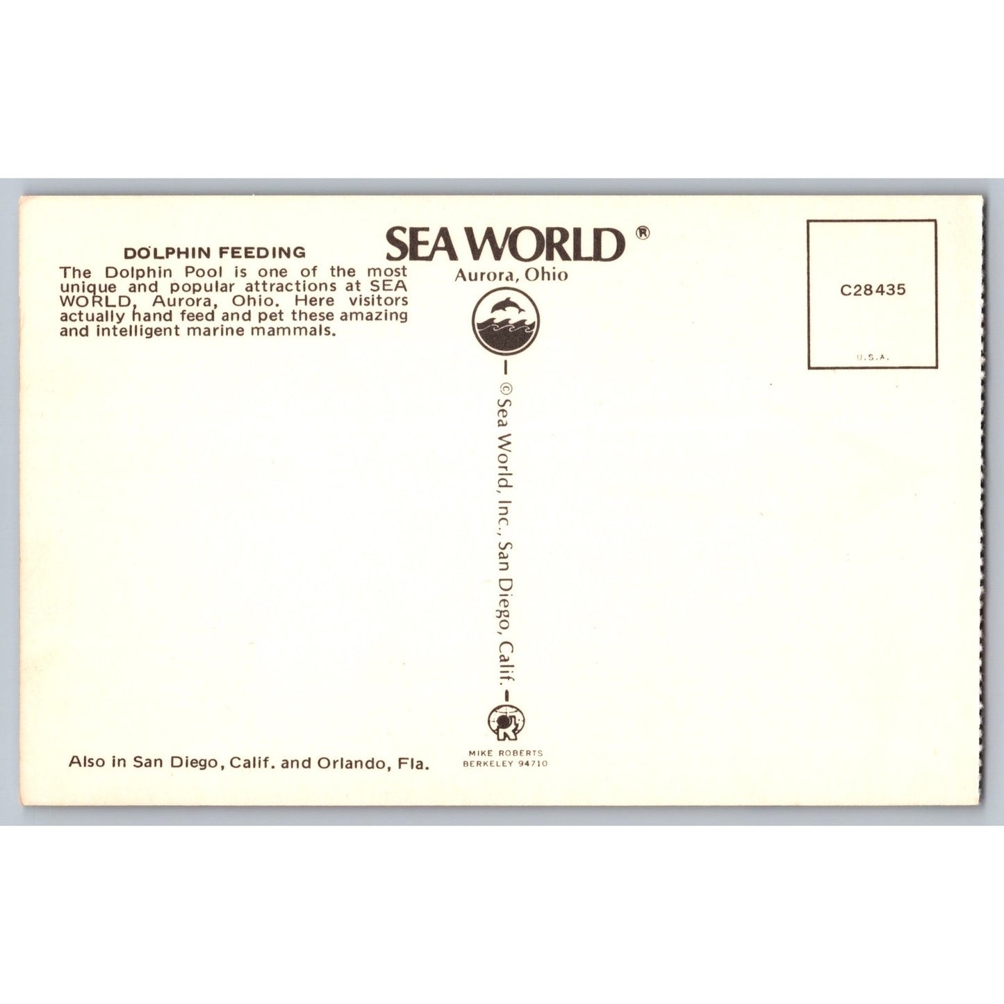 Aurora OH Ohio Sea World Dolphin Feeding Chrome Postcard Unused