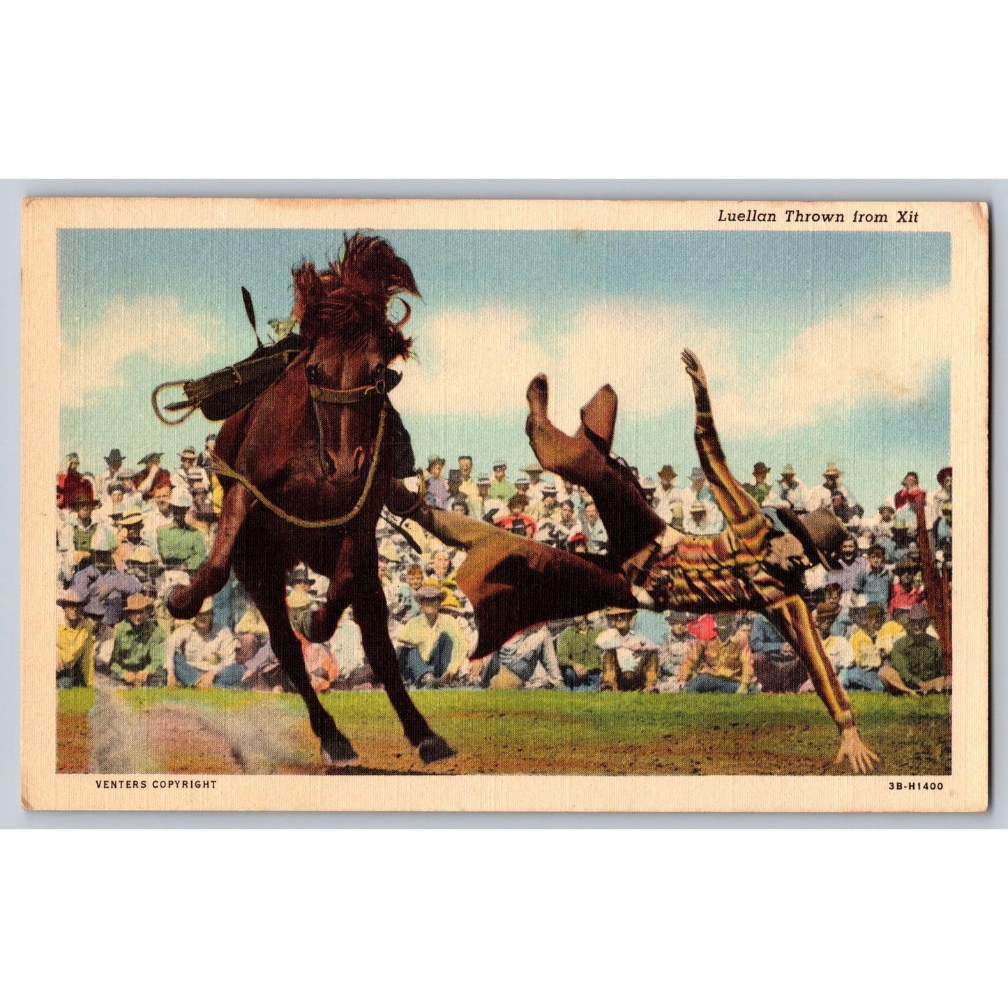 Woodward OK Oklahoma Luellan Thrown From Xit Southwest Rodeo Postcard 1938