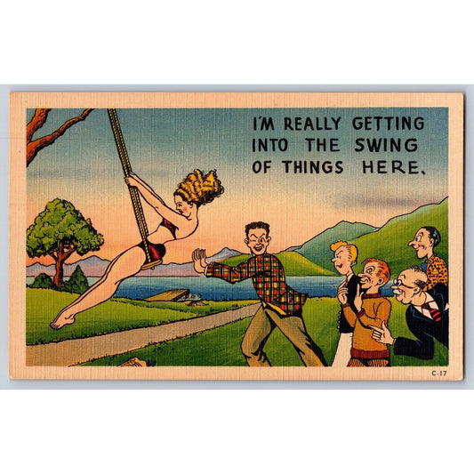 Comic Postcard Humorous Cartoon Swing of Things Here Linen Asheville Post Card