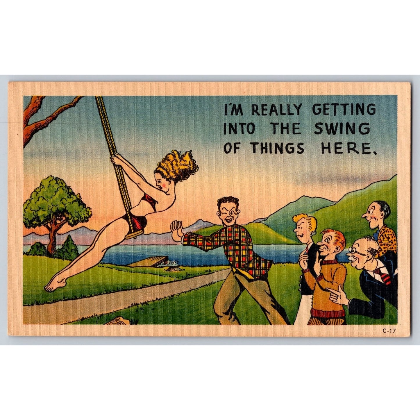 Comic Postcard Humorous Cartoon Swing of Things Here Linen Asheville Post Card