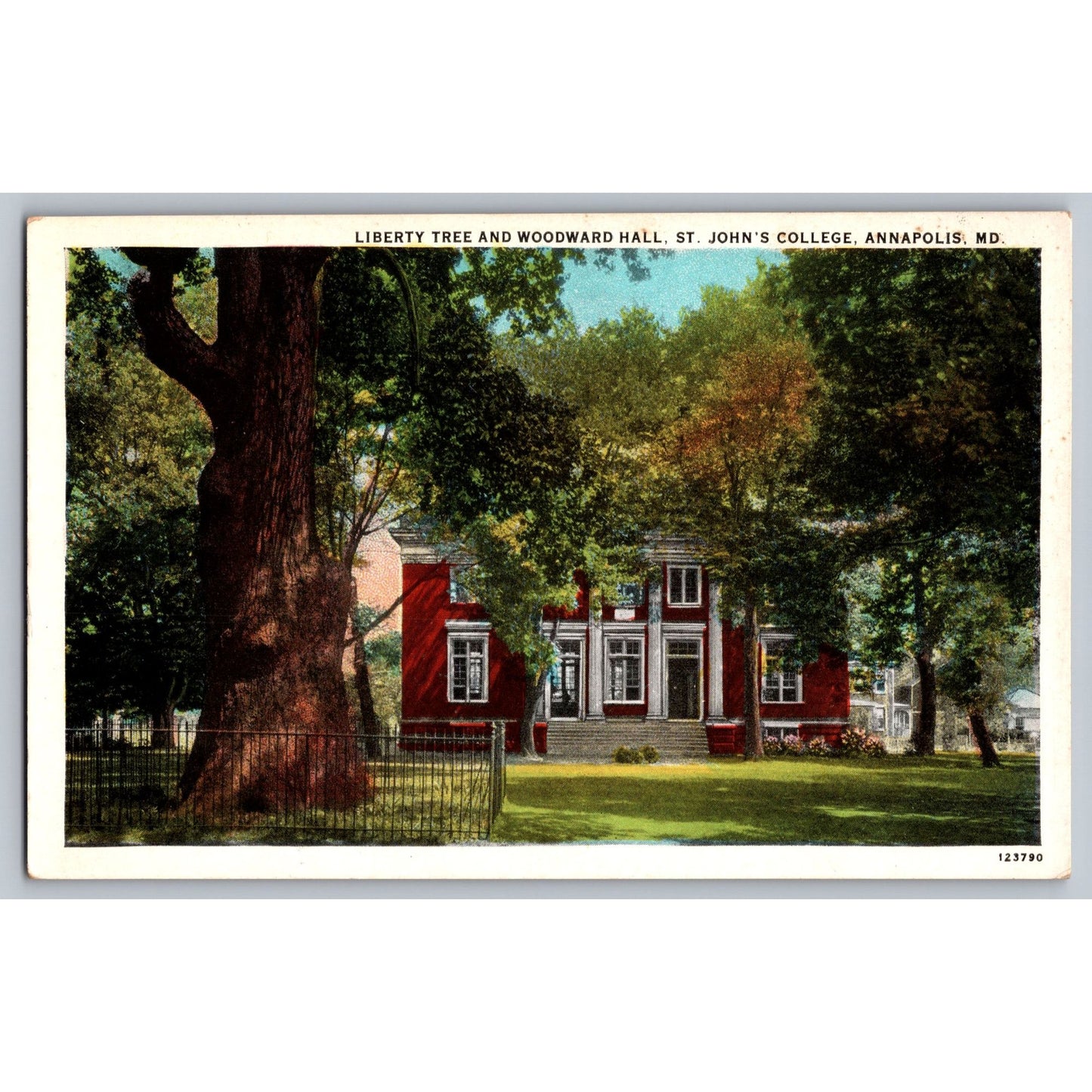 Annapolis MD Maryland St Johns College Liberty Tree & Woodward Hall Postcard