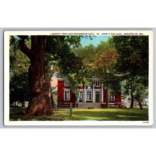 Annapolis MD Maryland St Johns College Liberty Tree & Woodward Hall Postcard