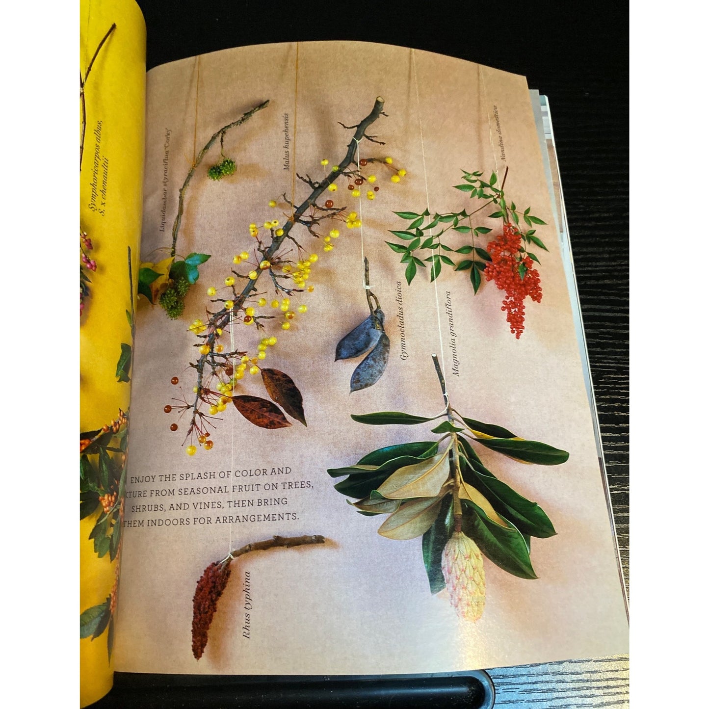 Martha Stewart Living Magazine September 2005 Special Decorating Issue