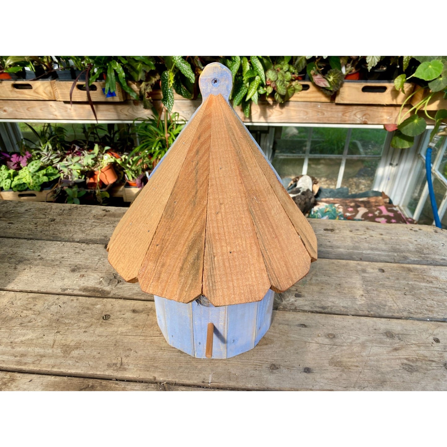 Handmade Birdhouse for Outdoor Use 1/2 Round Cornflower Blue with Stained Roof