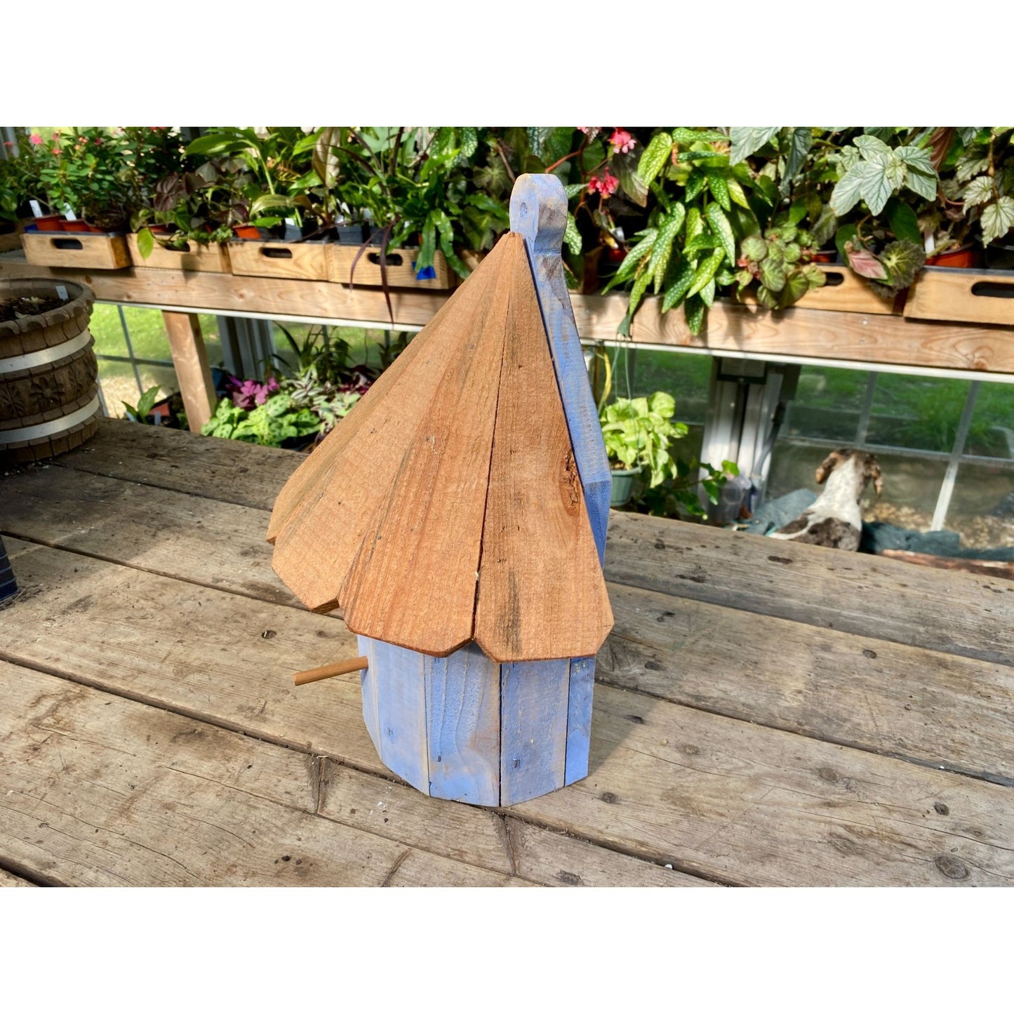 Handmade Birdhouse for Outdoor Use 1/2 Round Cornflower Blue with Stained Roof