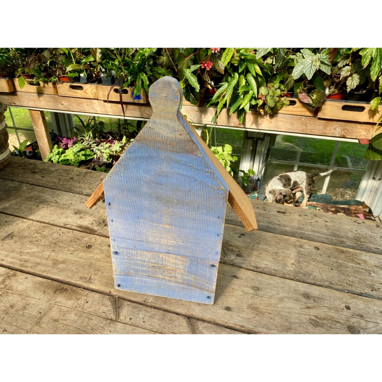 Handmade Birdhouse for Outdoor Use 1/2 Round Cornflower Blue with Stained Roof