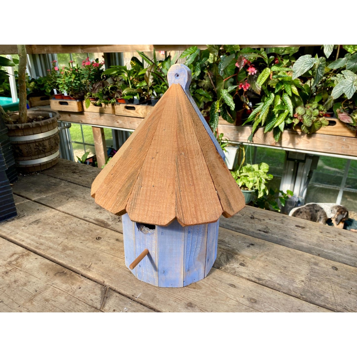 Handmade Birdhouse for Outdoor Use 1/2 Round Cornflower Blue with Stained Roof