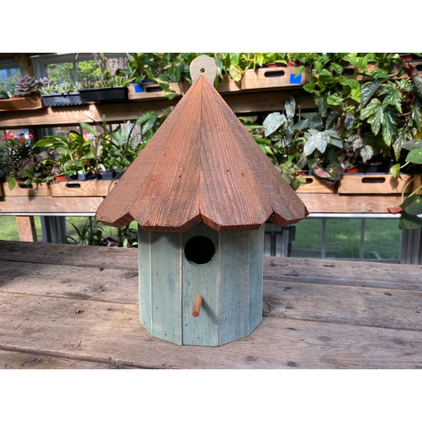 Handmade Birdhouse for Outdoor Use 1/2 Round Blue Spruce with Stained Roof