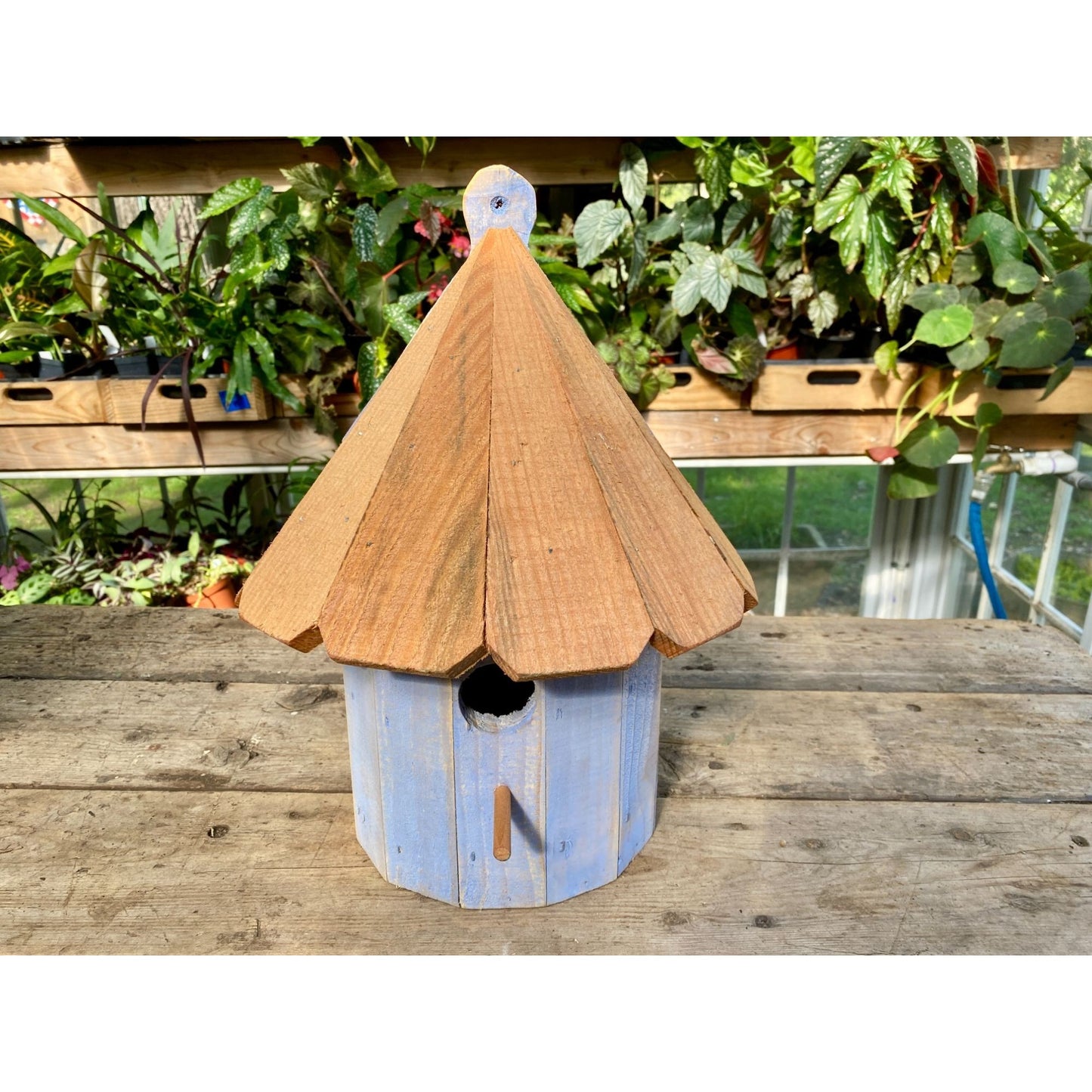 Handmade Birdhouse for Outdoor Use 1/2 Round Cornflower Blue with Stained Roof